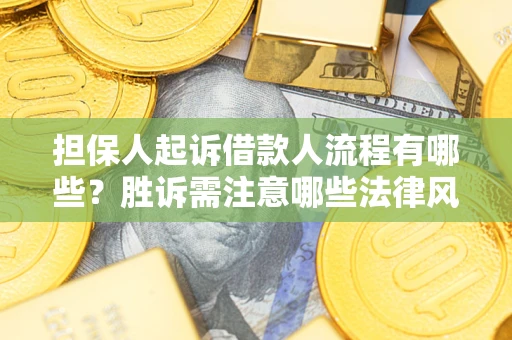 济南担保人起诉借款人流程有哪些？胜诉需注意哪些法律风险？